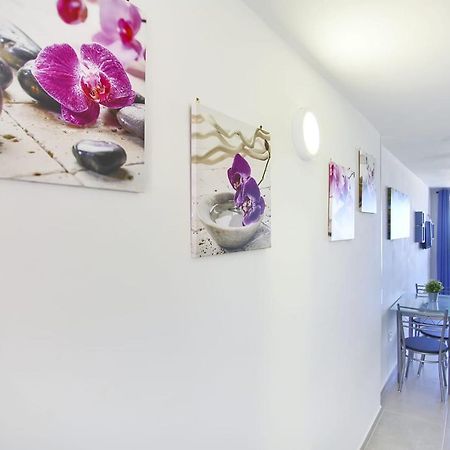 Studio With Sea View In Borinquen Playa Feñabe Εξωτερικό φωτογραφία